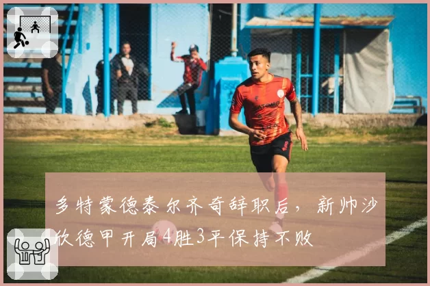 多特蒙德泰尔齐奇辞职后，新帅沙欣德甲开局4胜3平保持不败