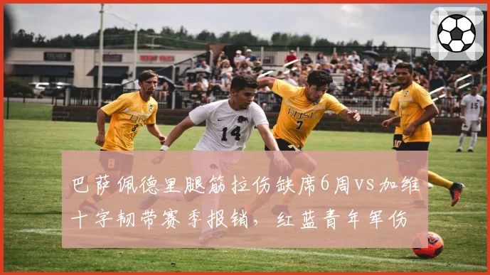 巴萨佩德里腿筋拉伤缺席6周vs加维十字韧带赛季报销，红蓝青年军伤病潮重创争冠计划