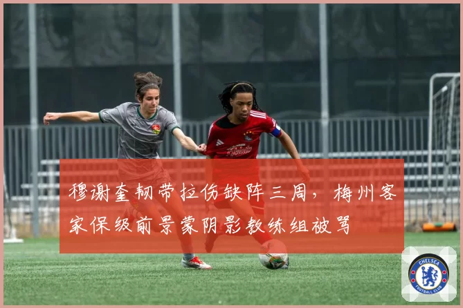 穆谢奎韧带拉伤缺阵三周，梅州客家保级前景蒙阴影教练组被骂