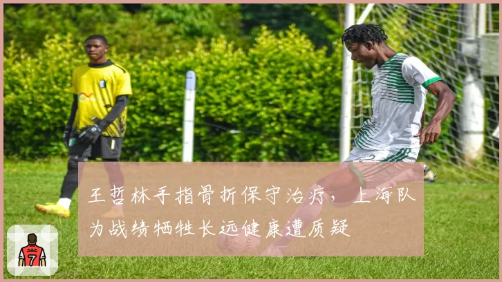 王哲林手指骨折保守治疗，上海队为战绩牺牲长远健康遭质疑