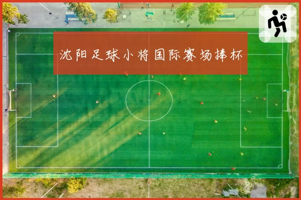 沈阳足球小将国际赛场捧杯