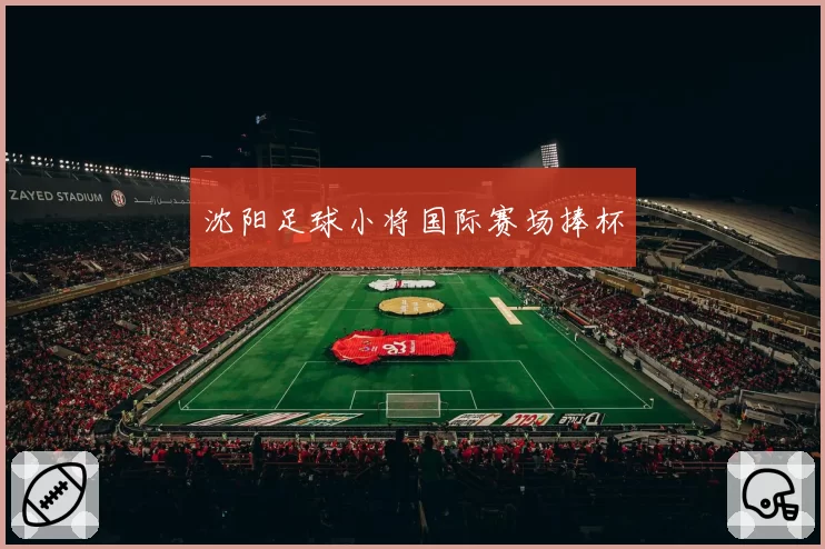 沈阳足球小将国际赛场捧杯